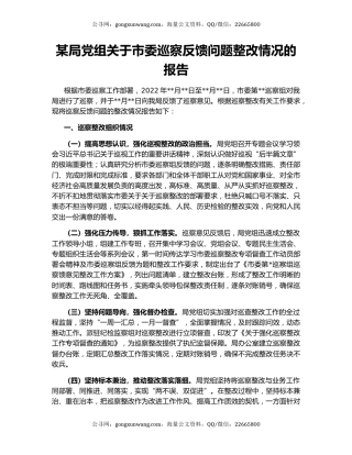 某局党组关于市委巡察反馈问题整改情况的报告