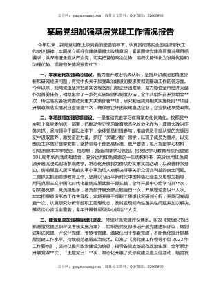 某局党组加强基层党建工作情况报告