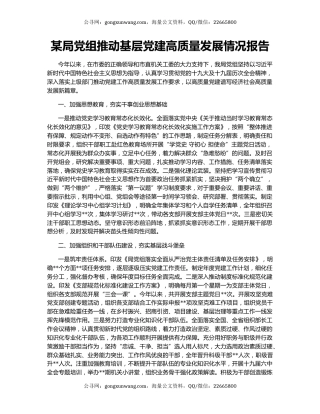某局党组推动基层党建高质量发展情况报告