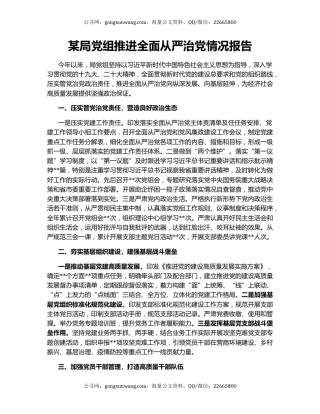 某局党组推进全面从严治党情况报告