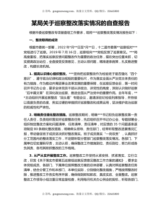 某局关于巡察整改落实情况的自查报告