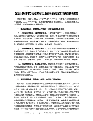 某局关于市委巡察反馈问题整改情况的报告