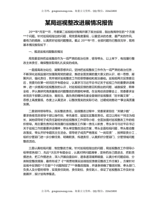 某局巡视整改进展情况报告