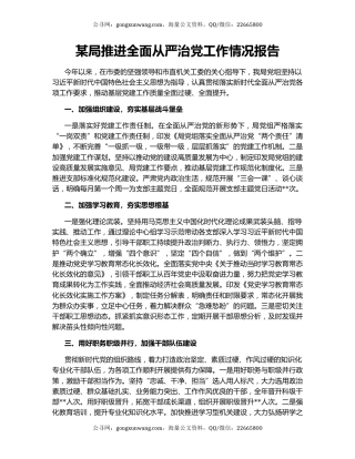 某局推进全面从严治党工作情况报告