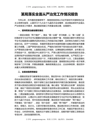 某局落实全面从严治党工作情况报告