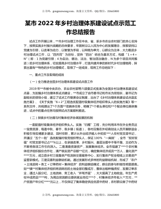 某市2022年乡村治理体系建设试点示范工作总结报告