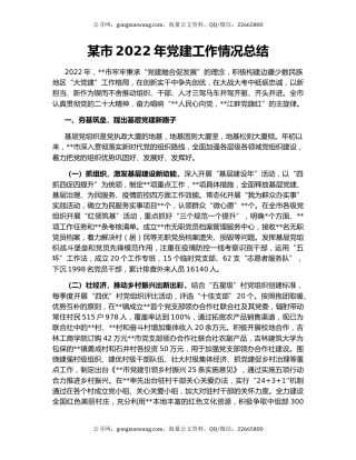 某市2022年党建工作情况总结