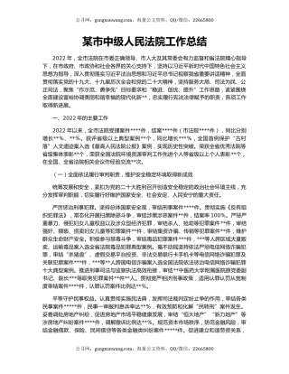 某市中级人民法院工作总结