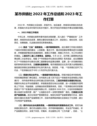某市供销社2022年工作总结和2023年工作打算