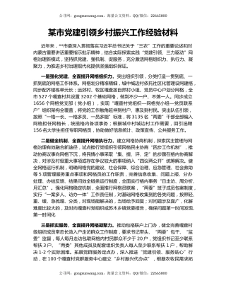 某市党建引领乡村振兴工作经验材料