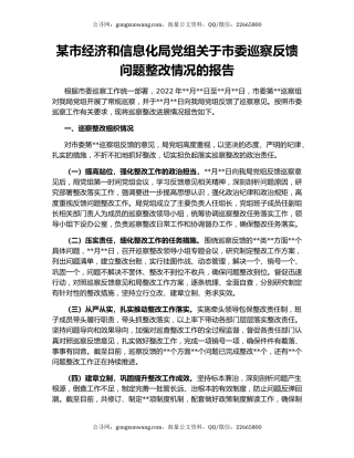 某市经济和信息化局党组关于市委巡察反馈问题整改情况的报告