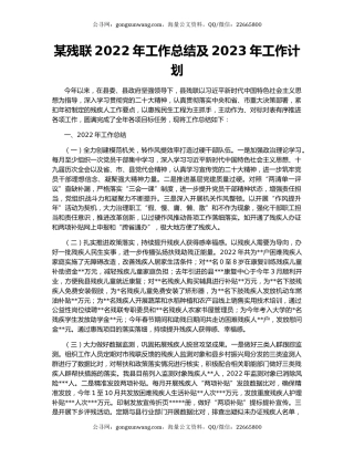 某残联2022年工作总结及2023年工作计划