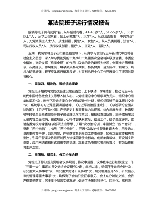 某法院班子运行情况报告