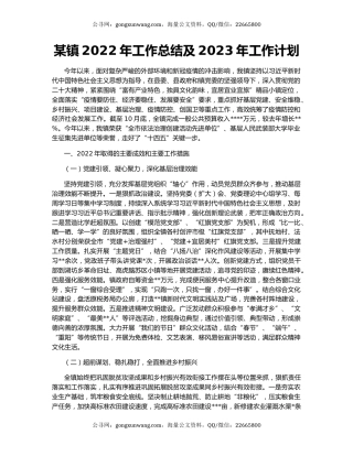 某镇2022年工作总结及2023年工作计划