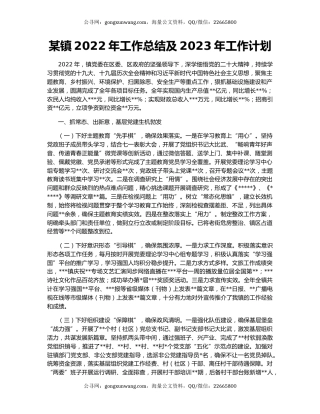 某镇2022年工作总结及2023年工作计划（2）