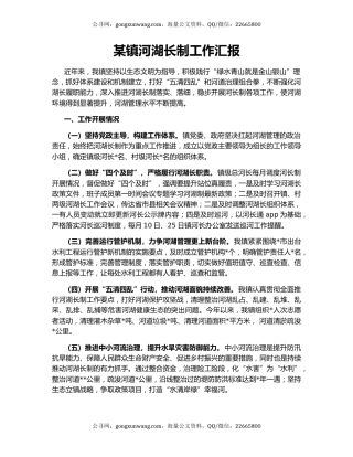 某镇河湖长制工作汇报