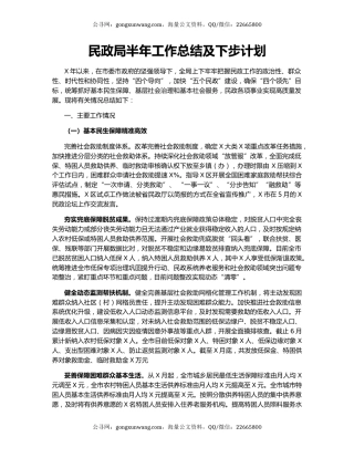 民政局半年工作总结及下步计划