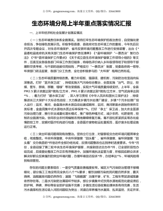 生态环境分局上半年重点落实情况汇报