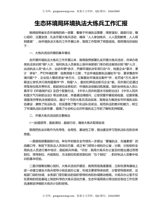 生态环境局环境执法大练兵工作汇报