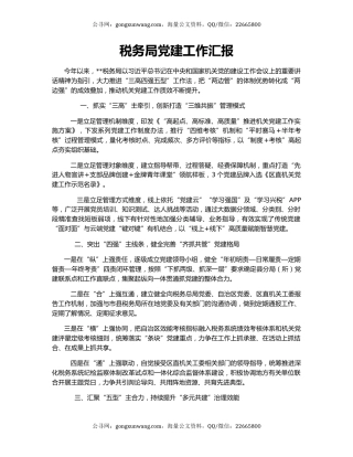 税务局党建工作汇报（2）