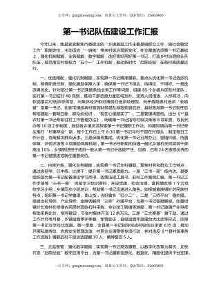 第一书记队伍建设工作汇报