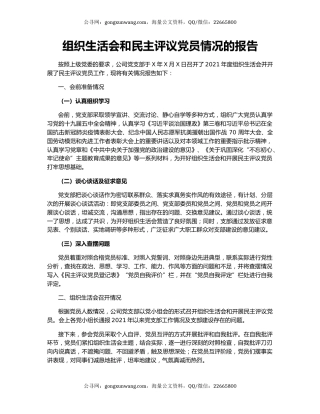 组织生活会和民主评议党员情况的报告
