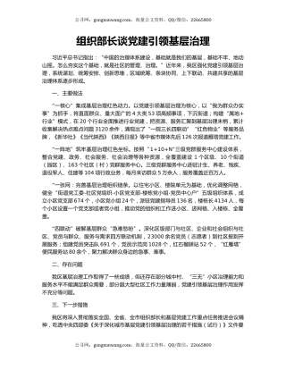 组织部长谈党建引领基层治理