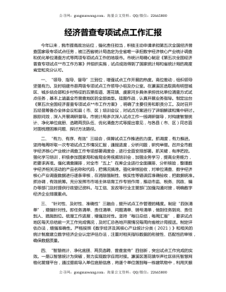 经济普查专项试点工作汇报