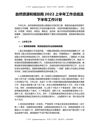 自然资源和规划局2022上半年工作总结及下半年工作计划