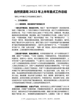自然资源局2022年上半年重点工作总结
