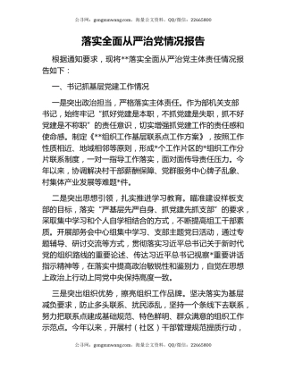 落实全面从严治党情况报告