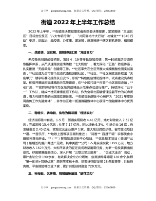 街道2022年上半年工作总结（4）