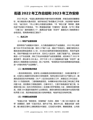 街道2022年工作总结和2023年工作安排（2）