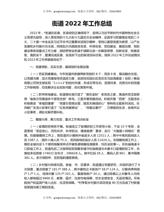 街道2022年工作总结（5）