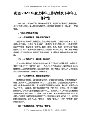 街道2022年度上半年工作总结及下半年工作计划