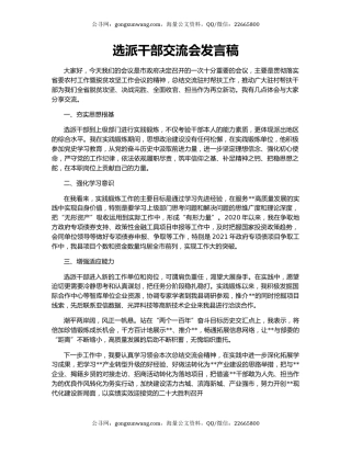 选派干部交流会发言稿
