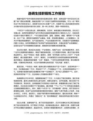 选调生挂职锻炼工作报告