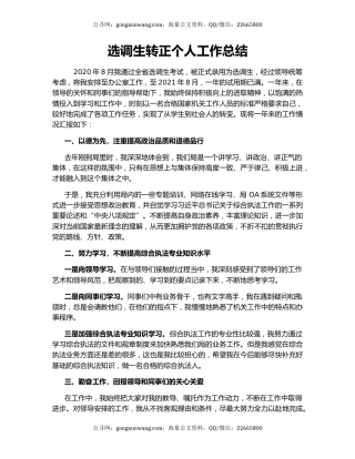 选调生转正个人工作总结