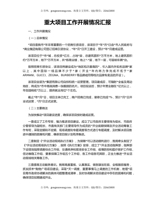 重大项目工作开展情况汇报