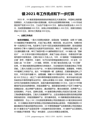 镇2021年工作亮点和下一步打算