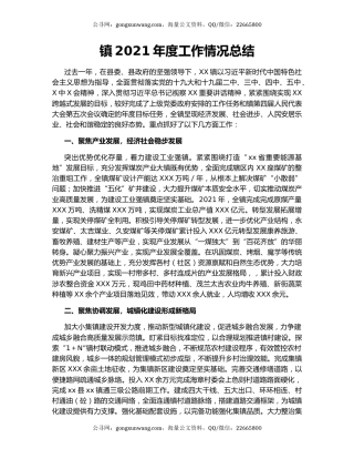 镇2021年度工作情况总结