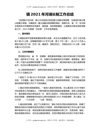 镇2021年河湖长制工作总结