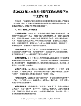 镇2022年上半年乡村振兴工作总结及下半年工作计划