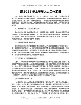 镇2022年上半年人大工作汇报