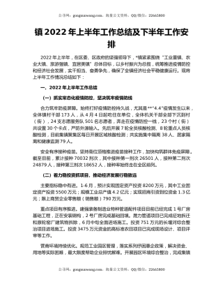 镇2022年上半年工作总结及下半年工作安排
