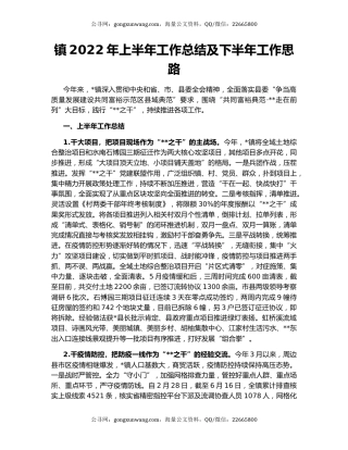 镇2022年上半年工作总结及下半年工作思路