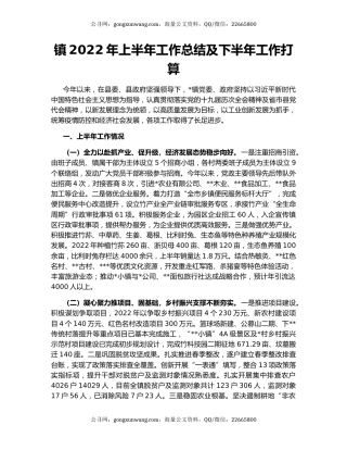 镇2022年上半年工作总结及下半年工作打算