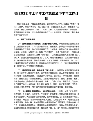 镇2022年上半年工作总结及下半年工作计划