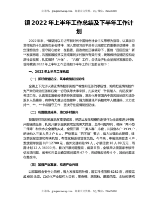 镇2022年上半年工作总结及下半年工作计划（2）