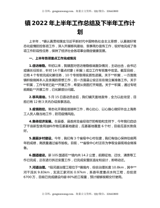 镇2022年上半年工作总结及下半年工作计划（3）